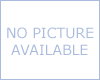 Continuous Carbonless Form 9.5" X 11" 3 Part 3000 Qty - BLANK Continuous Carbonless Form 9.5" X 11" 3 Part 3000 Qty - BLANK